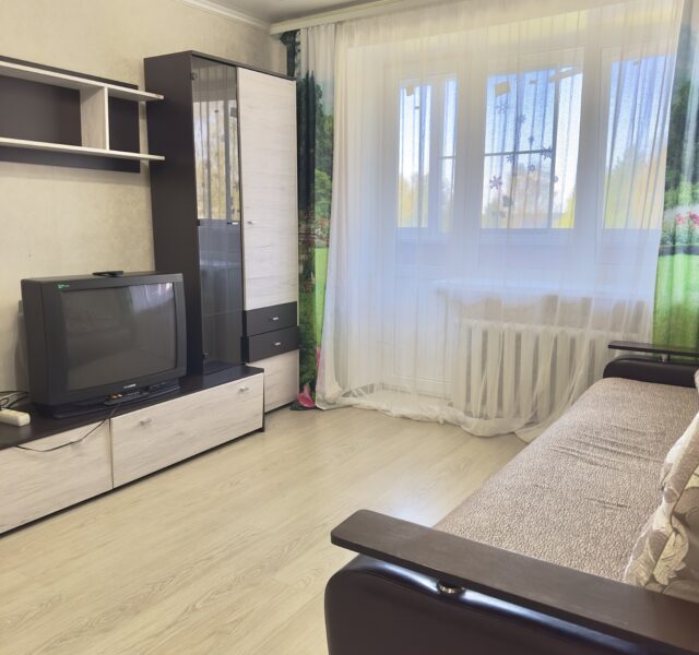 Квартира ГАГАРИНА 20